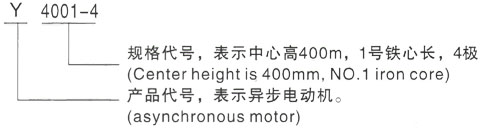 西安泰富西玛Y系列(H355-1000)高压YR5002-10三相异步电机型号说明