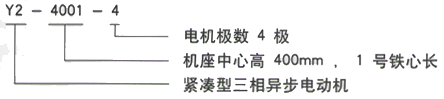 YR系列(H355-1000)高压YR5002-10三相异步电机西安西玛电机型号说明